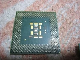 ��������å��ǳ���!